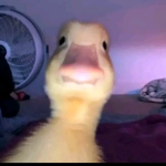 ItsGeorgina
