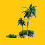 Palm Airways Roblox