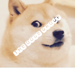 # The Doge Group