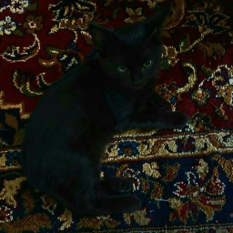 ⋆.࿔*:･⋆