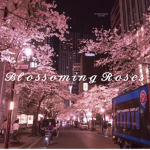 Blossoming Roses!