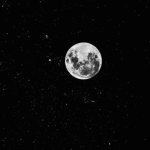 xox moonlight squad xox