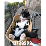 nineW