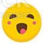 -Bear Dogs-