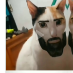 Robux prime 2
