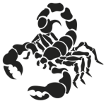 OPERATION SCORPION