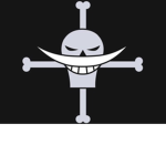 Armed ninja