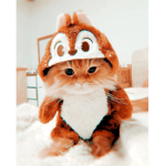 - my llamass ofc-