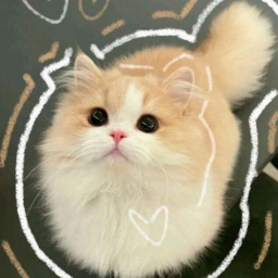 ⋆🐾°