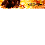 Kugyay FanClub