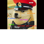 Doge_Military