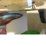 MOON THE FISH