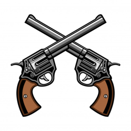 Gun Fight PVP