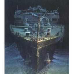 Blue Star Line icon
