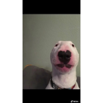 walter is so amazing