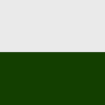 The Army of the Kingdom of Saxony