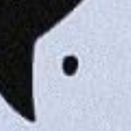 ✦••┈•