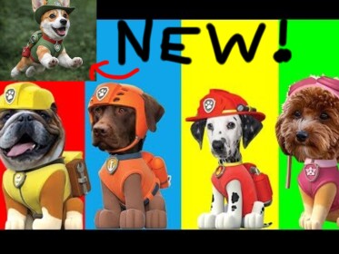 Dog Patol RP (UPDATE)