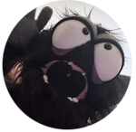 Dreamy and Oggy!