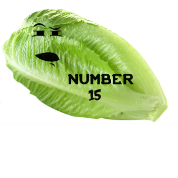 Number 15: Burger King Foot Lettuce