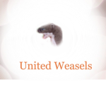United Weasels