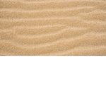 Sand SNORTERS!