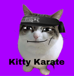 Kitty Karate Ninjas