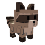 Raccoon