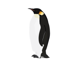 The Penguin Clans Basic Obby Game