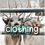 • Rudolph’s clothing •
