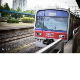 Seoul Subway Line 1 icon