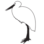 stork....