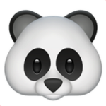 La vie des Panda