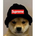 DumbBoii | Doge gang