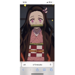 Fren groups