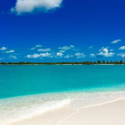 LIFE IN PARADISE ISLAS DE LA BAHIA