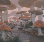 Mushy Farm