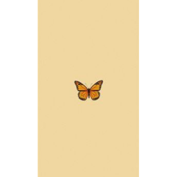 butterfly squad hangout