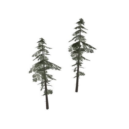 [Best!] Forest Trees v3! Gym Hangout Toolkit Fun S