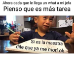 Cesar pro