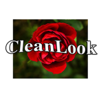 CleanLook Clothing