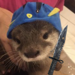 o_օ