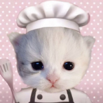 mmeowerss
