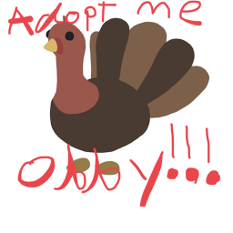 Adopt me turkey obby