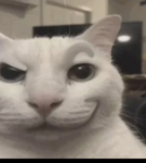Anti-neko