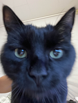 Lunra