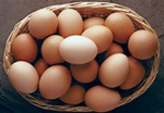 the epic eggs family