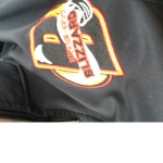 Blizzard is the best hockey team