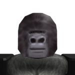 primate clothing