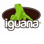 #IGUANA SQUAD!